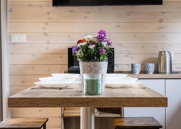 Solo Na Wyspie, Blisko Morza Sobieszewo * 格但斯克